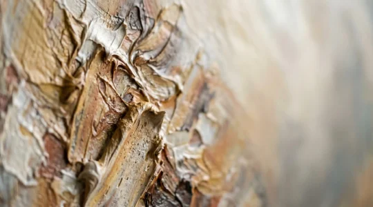 Textured abstract oil painting surface with cold wax medium showing sculptural impasto layers and translucent veils of color